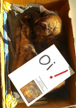 OS the cat: oi! oi! oi!