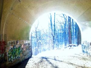 The Wissahickon in Fairmount Park, Philadelphia by JAG